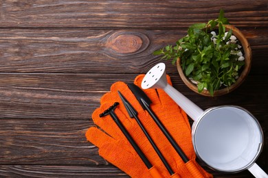 Photo of Watering can, gardening tools, plant and gloves on wooden table, flat lay. Space for text