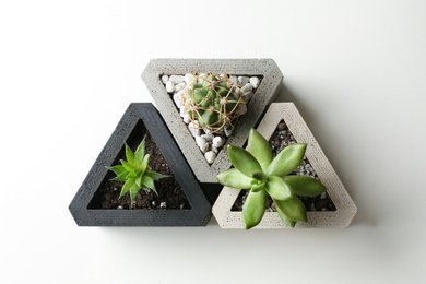 Succulent plants and cactus on white table, flat lay