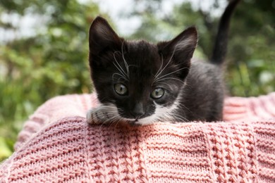 Photo of Cute cat resting on pink knitted fabric outdoors, closeup