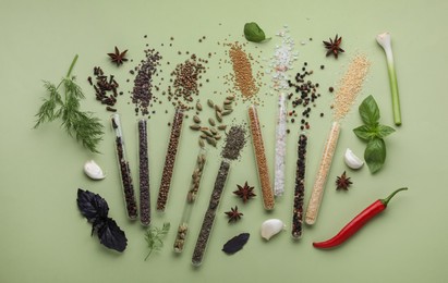 Flat lay composition with various spices, test tubes and fresh herbs on pale green background