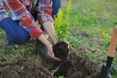 Photo of Woman planting tree in countryside, closeup view