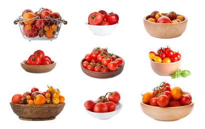 Set of different ripe tomatoes on white background