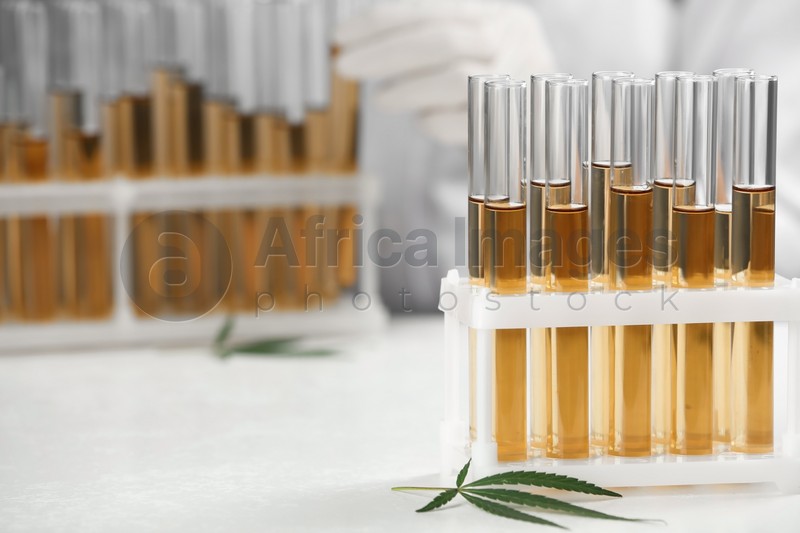 Test tubes with urine samples, hemp leaf and blurred doctor on background