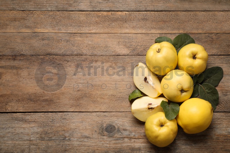 Fresh ripe organic quinces with leaves on wooden table, flat lay. Space for text