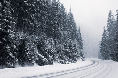 Beautiful landscape with road and conifer forest on snowy winter day