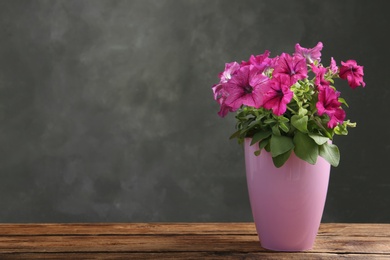 Beautiful pink petunia flowers in plant pot on wooden table against grey background. Space for text