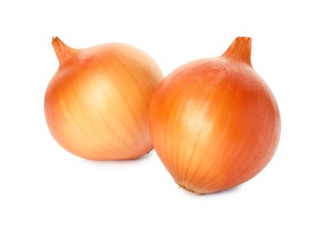 Photo of Two fresh unpeeled onions on white background