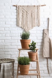 Different aromatic potted herbs near white brick wall indoors