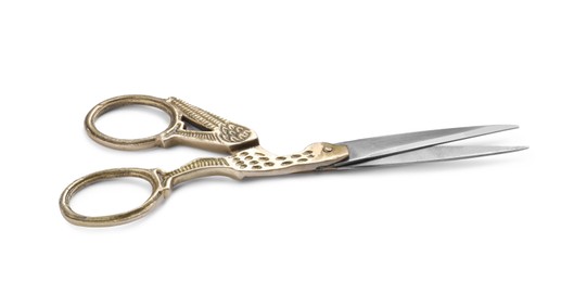 Pair of scissors with ornate handles isolated on white