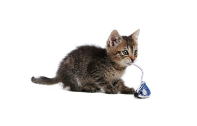 Cute little kitten playing with toy mouse on white background. Adorable pet