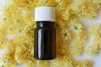 Photo of Bottle of essential oil and linden blossoms on white background, flat lay