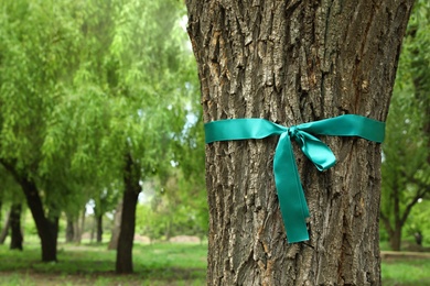 Teal ribbon tied to tree outdoors, space for text