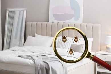 Image of Magnifying glass detecting bed bugs in bedroom, closeup view