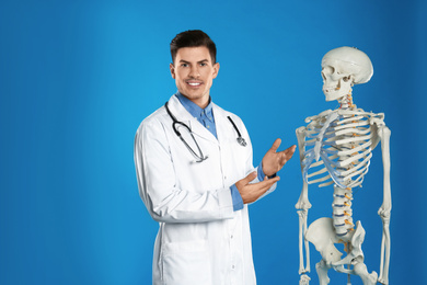 Male orthopedist with human skeleton model on blue background