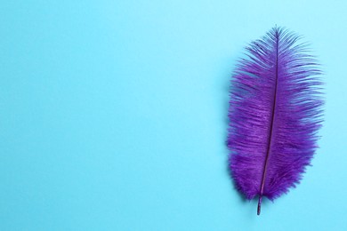 Photo of Beautiful violet feather on light blue background, top view. Space for text