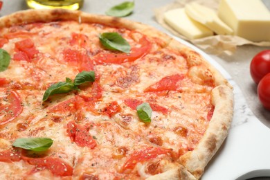 Photo of Delicious pizza Margherita and ingredients on light table, closeup