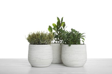 Pots with thyme, bay and sage on table against white background