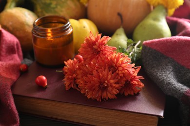 Beautiful orange chrysanthemum flowers, rosehip berries and scented candle on book. Autumn still life
