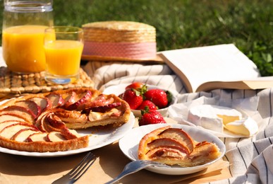 Photo of Apple pie and different products on blanket outdoors. Summer picnic