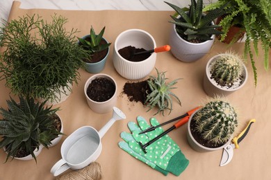 Beautiful houseplants and gardening tools on table, above view