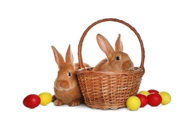 Adorable furry Easter bunnies and wicker basket with dyed eggs on white background