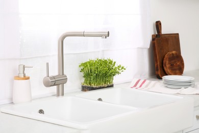 Photo of Stylish white sinks, utensils and microgreens in kitchen