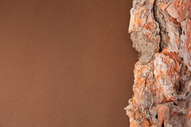 Photo of Tree bark piece on brown background, top view. Space for text
