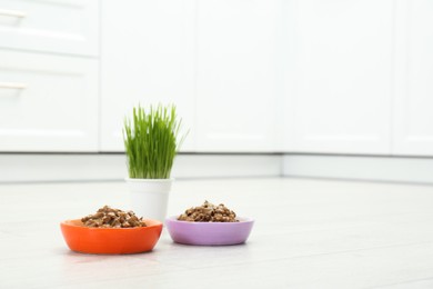 Wet pet food and green grass on floor indoors, space for text
