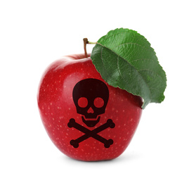 Red poison apple with skull and crossbones image on white background