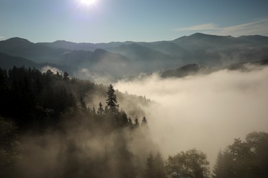 Beautiful view of mountains covered with fog at sunrise