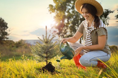 Photo of Young woman watering newly planted conifer tree in countryside on sunny day