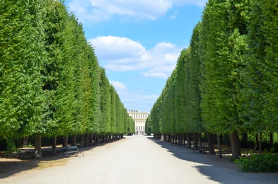 VIENNA, AUSTRIA - JUNE 19, 2018: Picturesque view of Schonbrunn Palace park