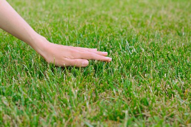Photo of Woman touching fresh grass on green lawn, closeup