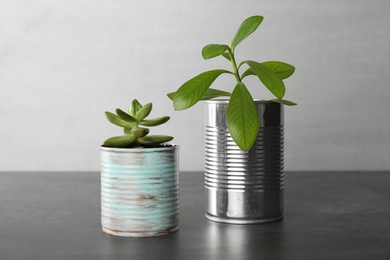 Beautiful houseplants in tin cans on grey stone table