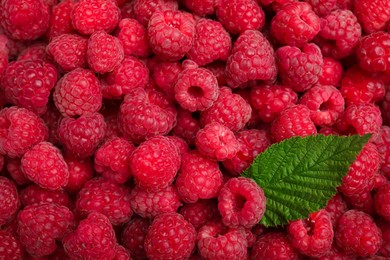Photo of Many fresh red ripe raspberries and green leaf as background, top view