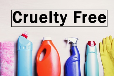 Cruelty free concept. Cleaning products not tested on animals, flat lay 