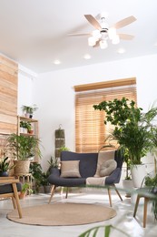 Comfortable furniture and beautiful houseplants in room. Lounge are interior