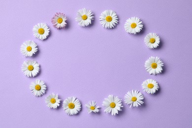 Frame of daisy flowers on lilac background, flat lay. Space for text