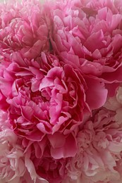 Photo of Closeup view of beautiful pink peony bouquet