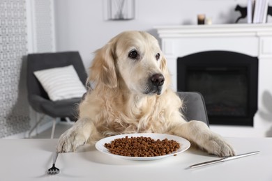 Cute retriever sitting at table near plate with food indoors