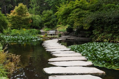 Beautiful view of park with pond, stone pathway and green plants