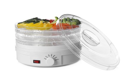 Modern dehydrator machine with different vegetables on white background