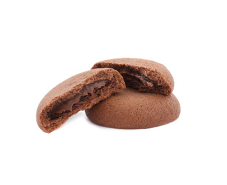 Tasty homemade chocolate cookies on white background