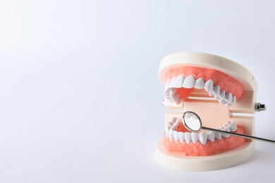 Typodont teeth and dentist mirror on white background. Space for text