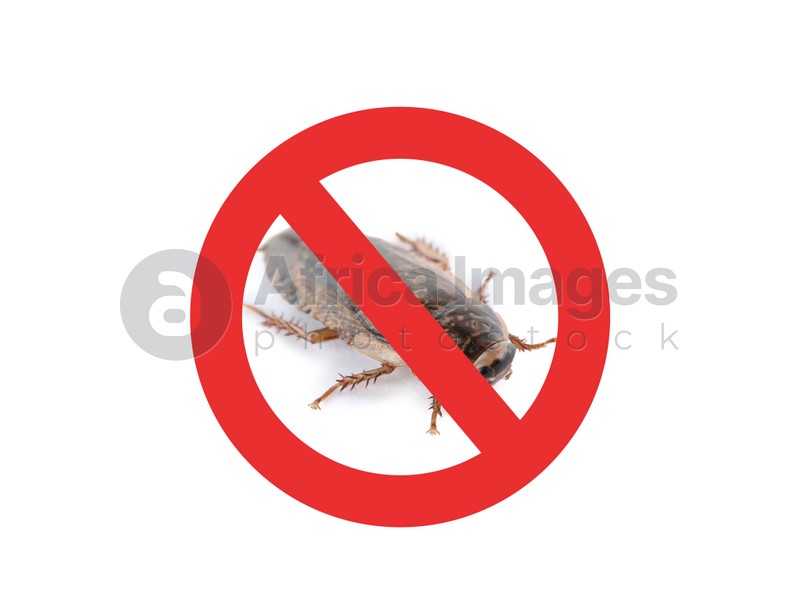 Cockroach with red prohibition sign on white background. Pest control