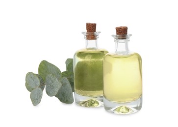 Bottles of eucalyptus essential oil and plant branch on white background