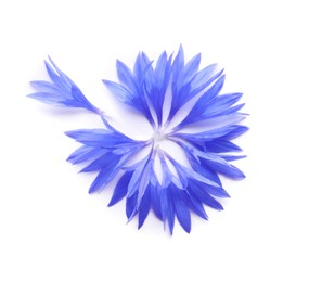Beautiful light blue cornflower petals on white background, top view