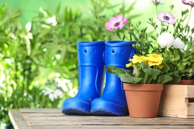 Potted blooming flowers and gumboots on wooden table, space for text. Home gardening