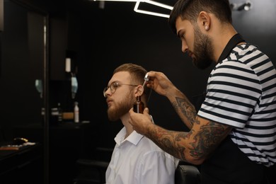 Hairdresser applying oil onto client's beard in barbershop. Professional shaving service