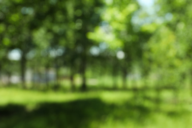 Blurred view of park on sunny day. Bokeh effect